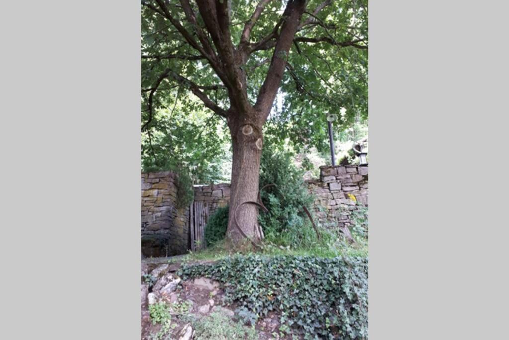 Eine gemütliche Ferienwohnung mit Garten Bad Karlshafen Exterior foto